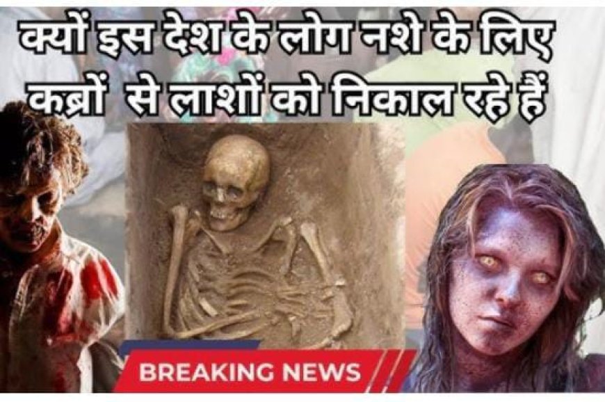 नशे के लिए कब्रों से चुरा रहे हड्डियां