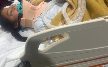 ब्रेकिंग न्यूज़: तेज रफ्तार स्कूल बस बनी हादसे की वजह, 11 वर्षीय छात्रा जिंदगी और मौत के बीच जंग लड़ रही